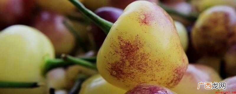 园艺种植观赏辣椒的中文名字 七彩椒可以吃吗?