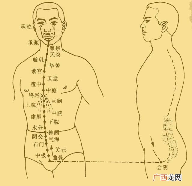 奇经八脉是指什么,奇经八脉是指哪些?分别位于哪里，作用？