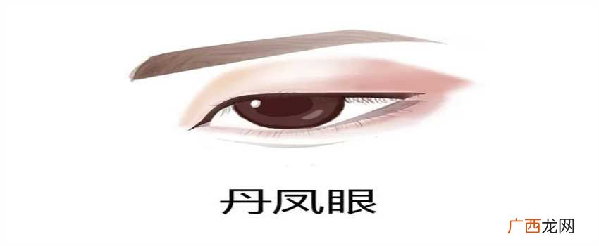 丹凤眼眼型细长，内眼角向下，眼尾上挑 什么是丹凤眼，丹凤眼是什么样的