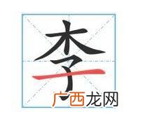 李字少了木是什么字,李少了木念什么？