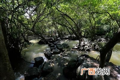 蛇最怕什么药闻到就跑,哪种灭害灵可以驱蛇?