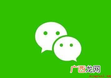如何查询社保缴费总金额及明细