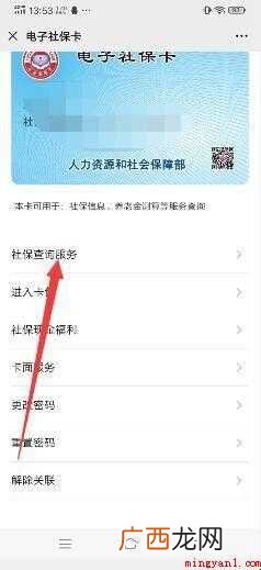 如何查询社保缴费总金额及明细