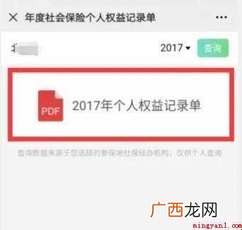 如何查询社保缴费总金额及明细