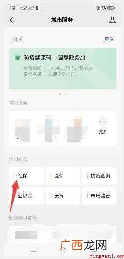 如何查询社保缴费总金额及明细