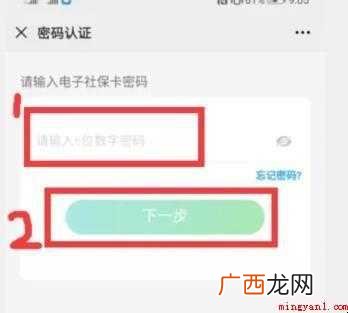 如何查询社保缴费总金额及明细