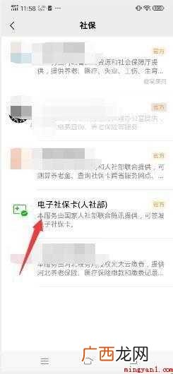如何查询社保缴费总金额及明细