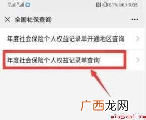 如何查询社保缴费总金额及明细