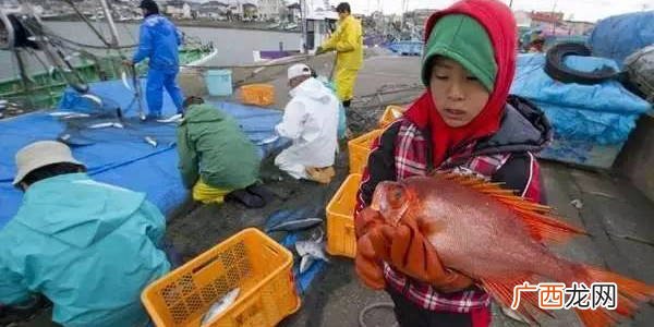 日本哪些物品有核辐射,日本核食是什么意思？