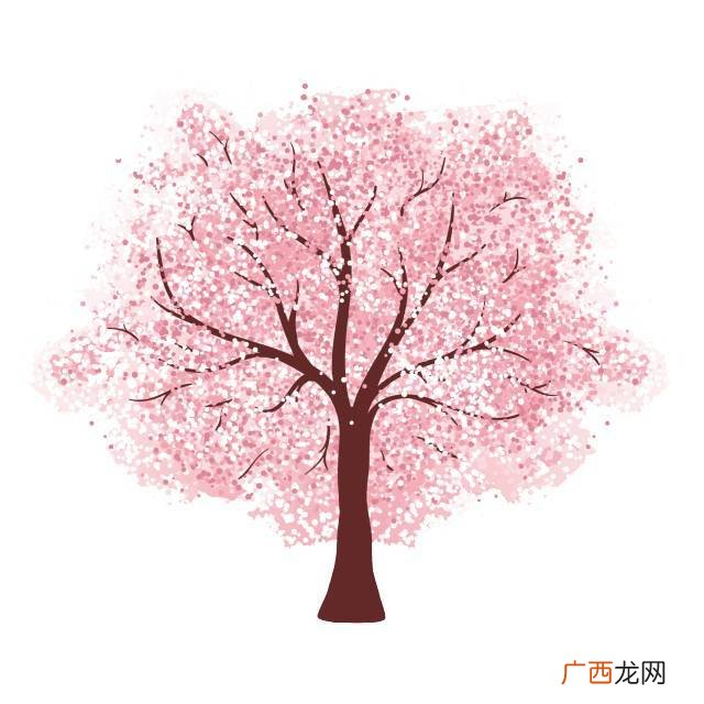 樱花树怎么画,日本晚樱怎么画？
