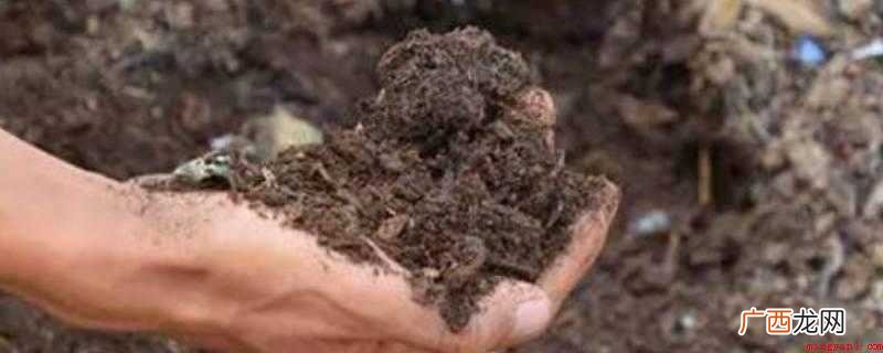 中药煎煮后的残渣是一种很好的养花肥料 药渣可以做花肥吗