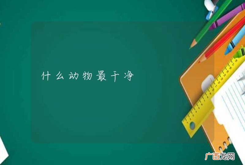 什么动物最干净