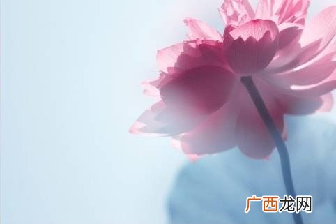 人生在世不如意之事十有八九,人生不如意十有八九的意思？
