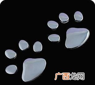 熊掌的做法以及营养价值,熊怎么靠熊掌冬眠？