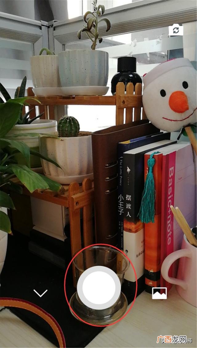 微信拍了拍后面加一句话怎么设置,微信中“拍一个视频动态”在哪里显示，怎么拍？