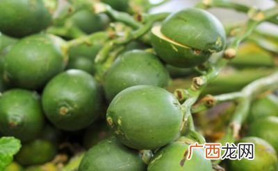 新鲜槟榔是什么味道,袋装槟榔和新鲜槟榔有啥区别？