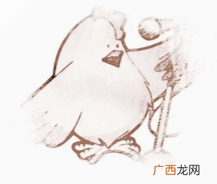 酉时出生哪个属相最好,上午10:30出生的时辰属相？