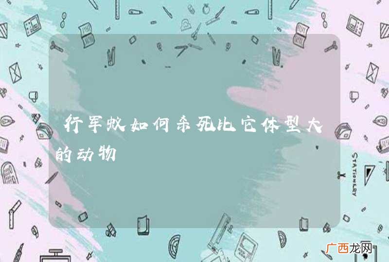 行军蚁如何杀死比它体型大的动物