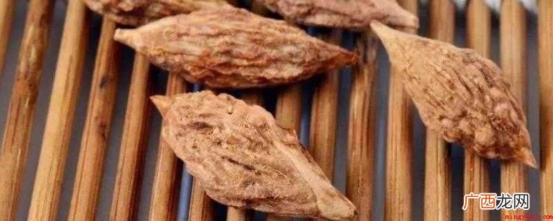 枣核为鼠李科植物枣的果核 什么的枣核