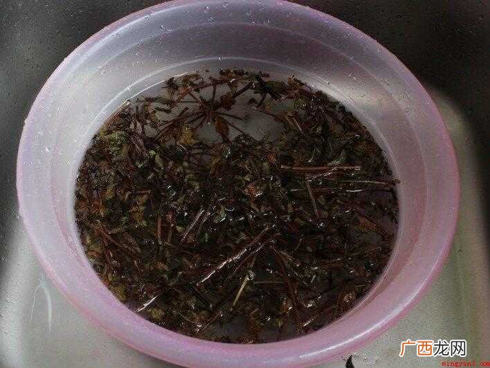 芒果烧仙草的做法_健康频道 烧仙草怎么做才好吃