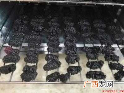 家里如何自制桑葚干