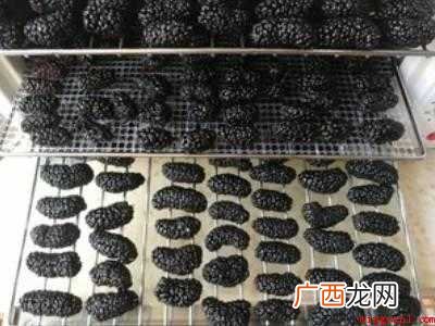 家里如何自制桑葚干