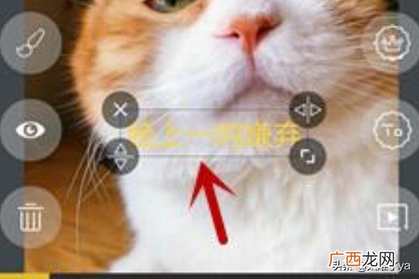 怎么做表情包,怎么自己制作表情包？