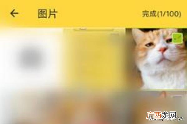 怎么做表情包,怎么自己制作表情包？