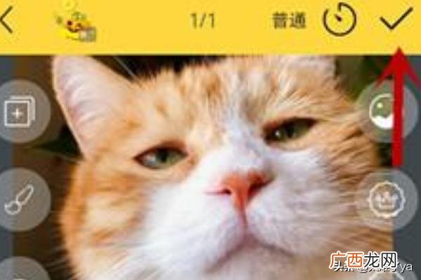 怎么做表情包,怎么自己制作表情包？