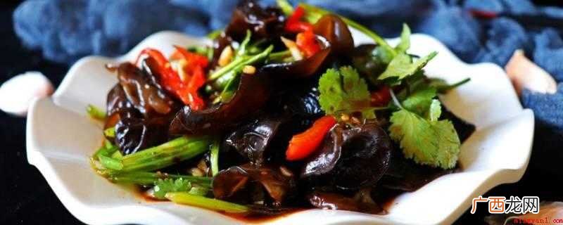 凉拌菜的做法_健康频道 凉拌菜都有哪些菜品