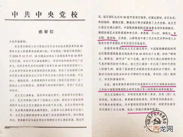 李玉刚怎么了,怎样评价李玉刚？