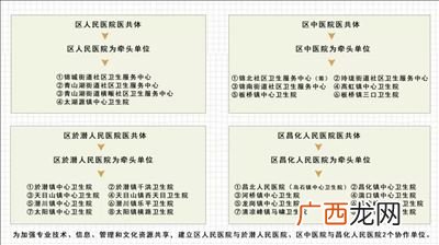 医共体是什么,药品医共体是什么意思？