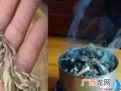 小蚊虫怎么去除