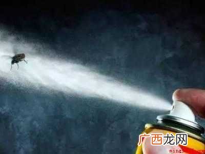 小蚊虫怎么去除