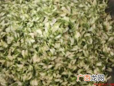干槐花怎么制作