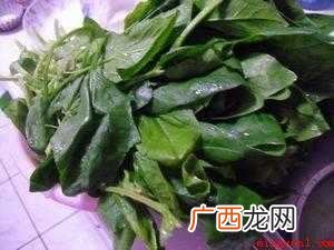 菠菜汁和面颜色最绿的做法 什么菜汁和面颜色最绿