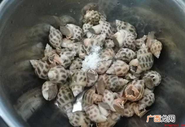 白灼花螺的做法 白灼花螺冷水还是热水煮
