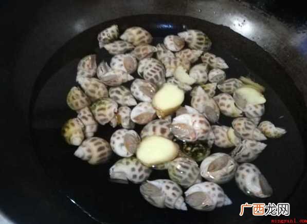 白灼花螺的做法 白灼花螺冷水还是热水煮