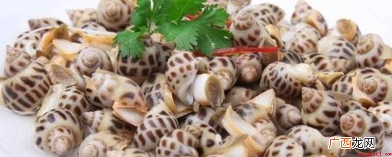 白灼花螺的做法 白灼花螺冷水还是热水煮