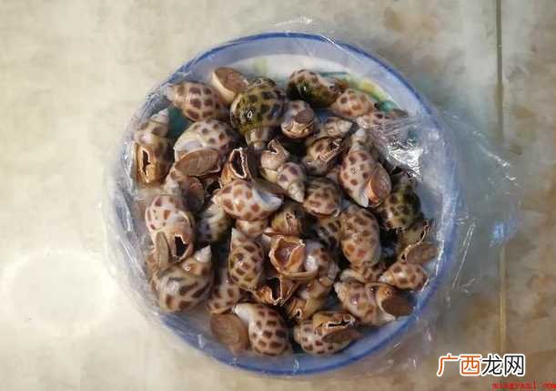 白灼花螺的做法 白灼花螺冷水还是热水煮