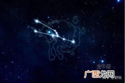 什么星座最聪明,什么星座最聪明最美丽最可爱？