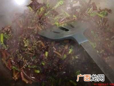 野蕨菜怎么做好吃