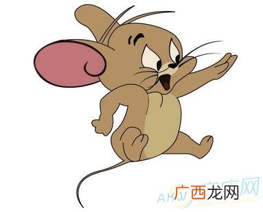 女鼠配什么属相最好,十二生肖配对表最准确？