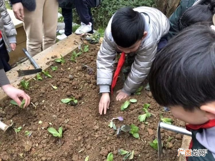 什么是大语文教育观,一年级语文教学理念？
