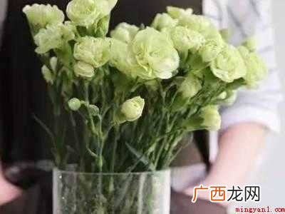 鲜花保鲜剂怎么用