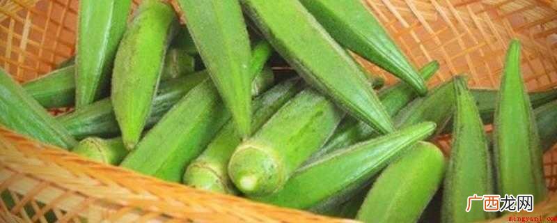 洋茄和秋葵没有区别,肉质柔嫩、润滑的嫩荚供食 洋茄和秋葵的区别