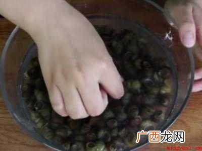野生田螺怎么处理才能吃