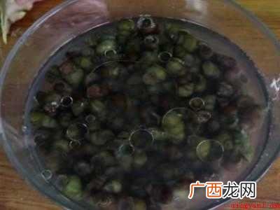 野生田螺怎么处理才能吃