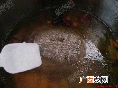 甲鱼汤怎么做好喝