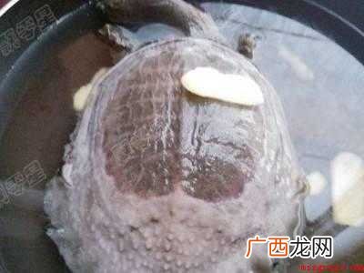 甲鱼汤怎么做好喝